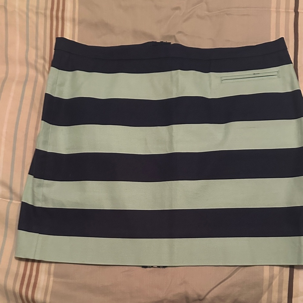 GAP Navy and Light Blue Striped Mini Skirt